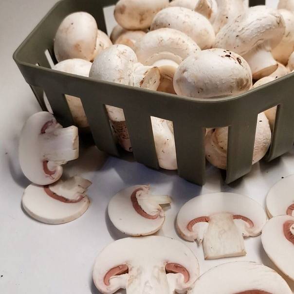 Шампиньоны детям: плюсы и минусы грибных блюд для маленьких гурманов