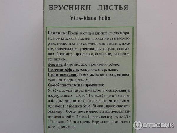 Брусничный лист при беременности: инструкция по применению, противопоказания, полезные свойства