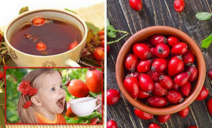 Можно ли употреблять шиповник кормящей маме