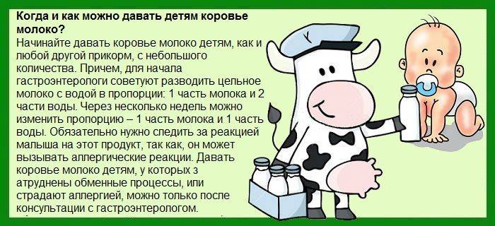 Можна давать. Коровье молоко для грудничка с какого возраста. Когда можно давать коровье молоко ребенку. С какого возраста можно давать ребёнку молоко коровье. Коровье молоко для грудничка как разводить.
