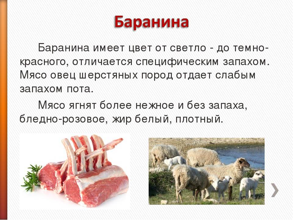 Баранина – полезные свойства и противопоказания, лечение и похудение с помощью баранины
