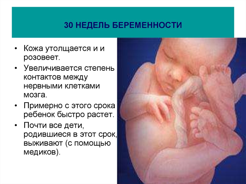 30 неделя беременности: особенности самочувствия матери, опасности срока, полезные советы специалистов, обучающее видео