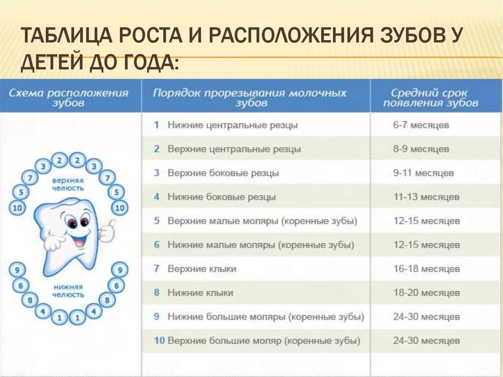 Зубы 5 месяцев признаки. Как режутся зубы у детей схема.