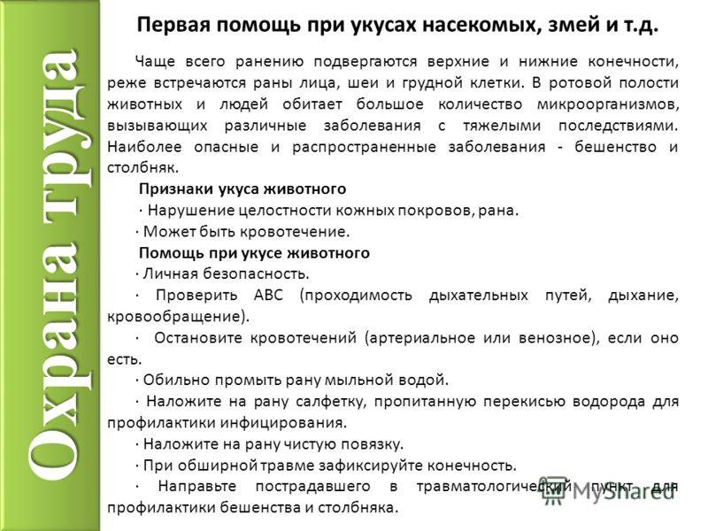 Первая помощь при укусе змеи — помощь в лесу и лечение. что делать нельзя