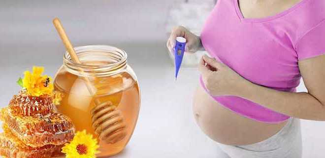 Чай с медом при беременности: польза и вред по триместрам