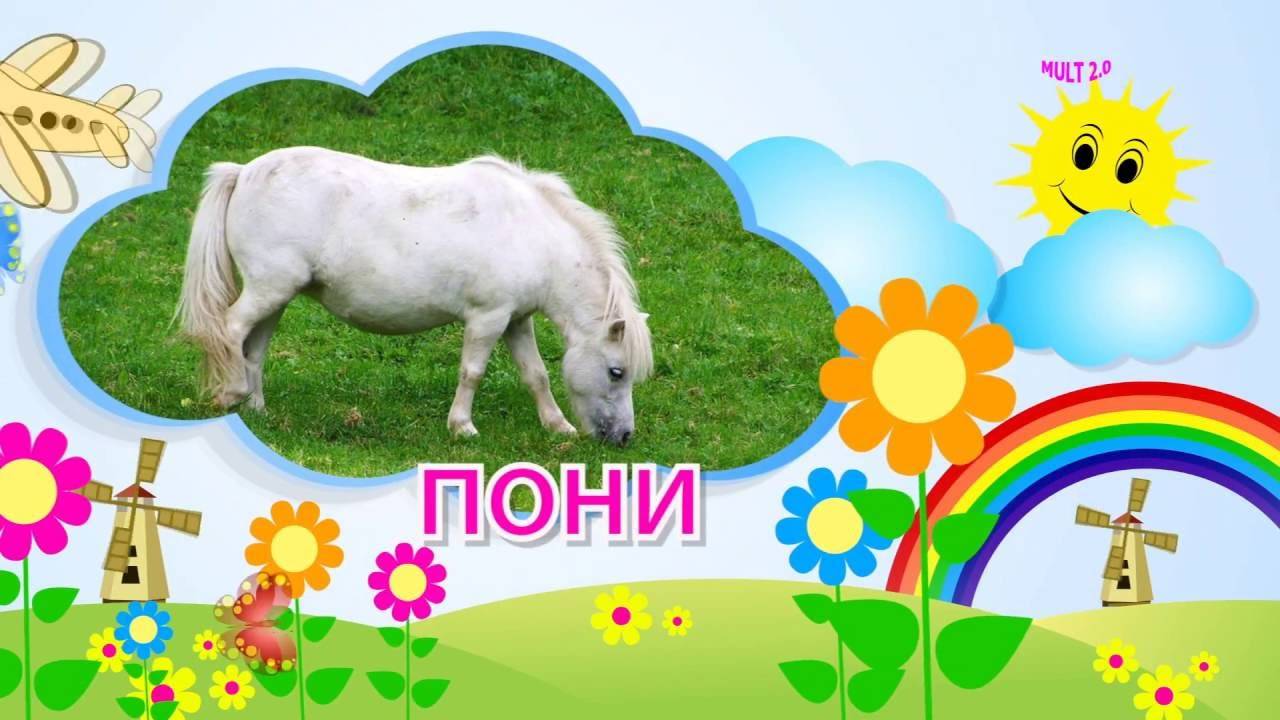 Профессии (развивающий мультик). карточки домана