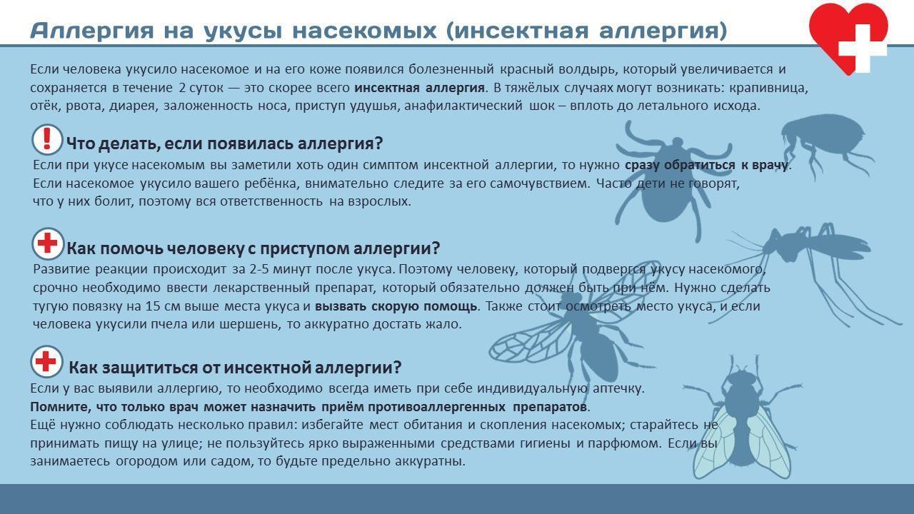 Ребенка укусила оса: что делать в домшних условиях, чем помазать, куда везти ребенка
