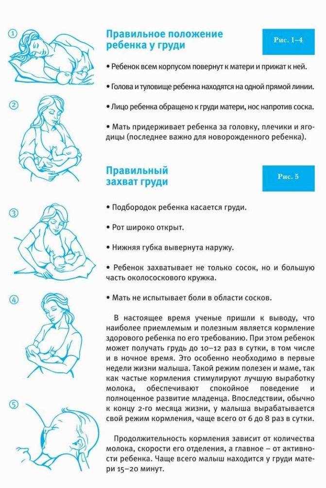 Как правильно прикладывать новорожденного к груди | салид