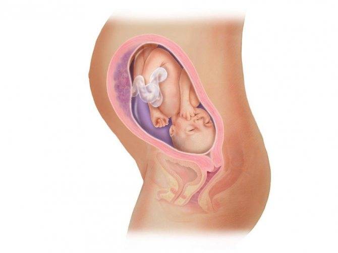 29 неделя беременности: что происходит симптомы развитие плода