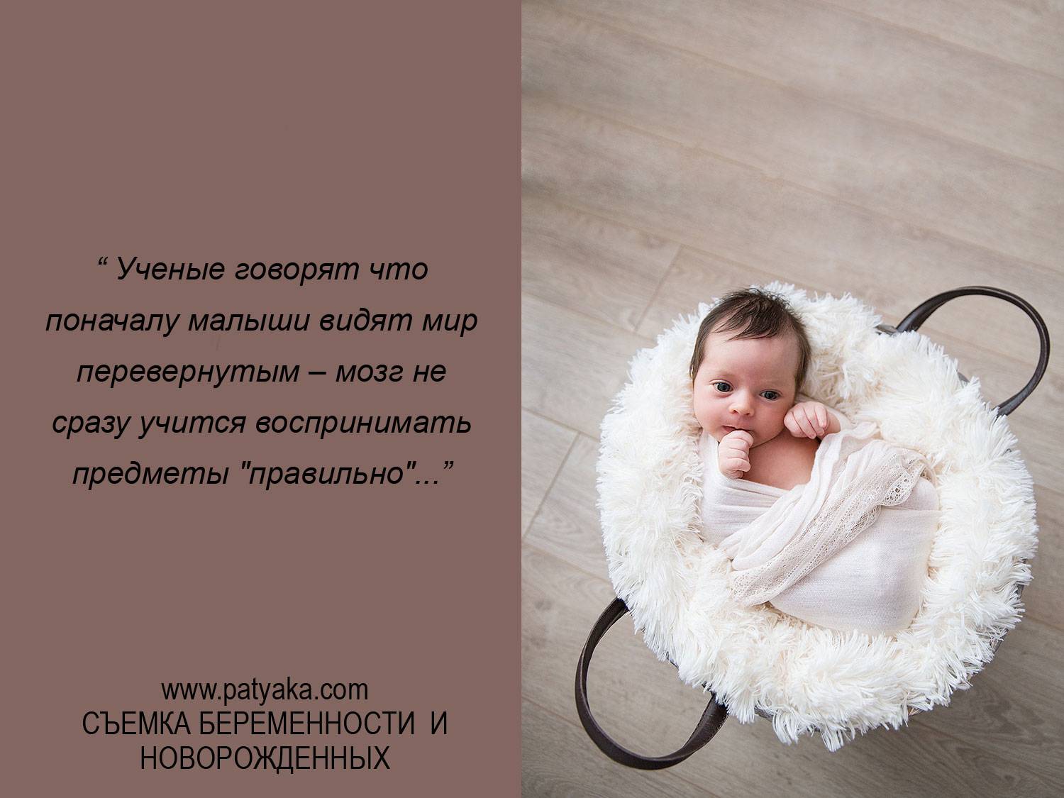 75 интересных фактов о детях и их развитии