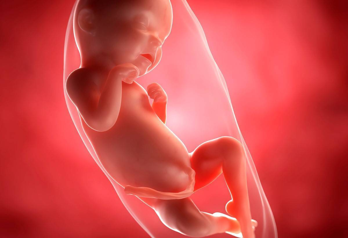 31 неделя беременности: что происходит с малышом и мамой, вес, рост и развитие плода, ощущения, осложнения