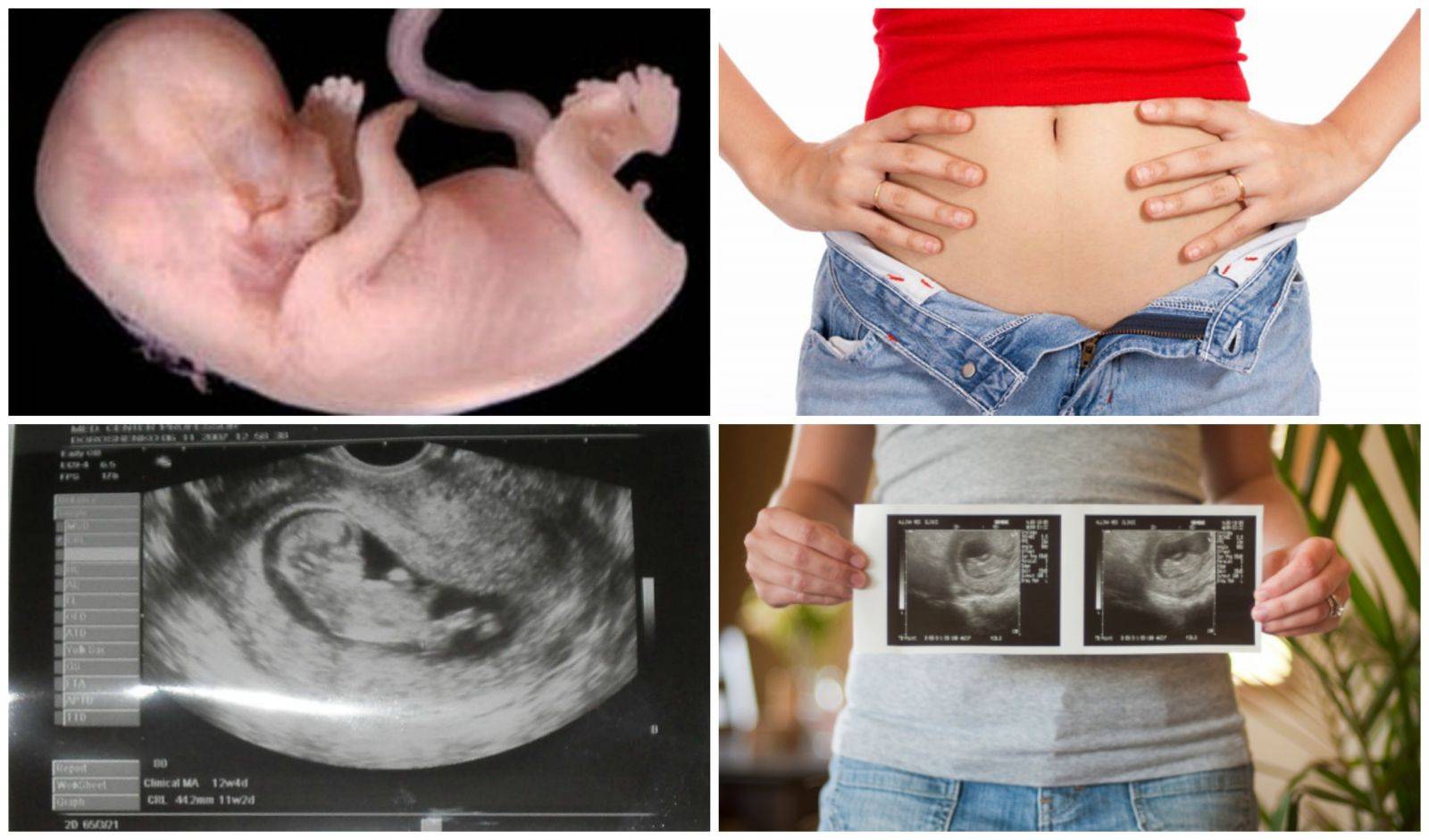11 неделя беременности - что происходит с беременной, какие ощущения в животе и размер матки на 11 акушерской неделе беременности (третий месяц)
