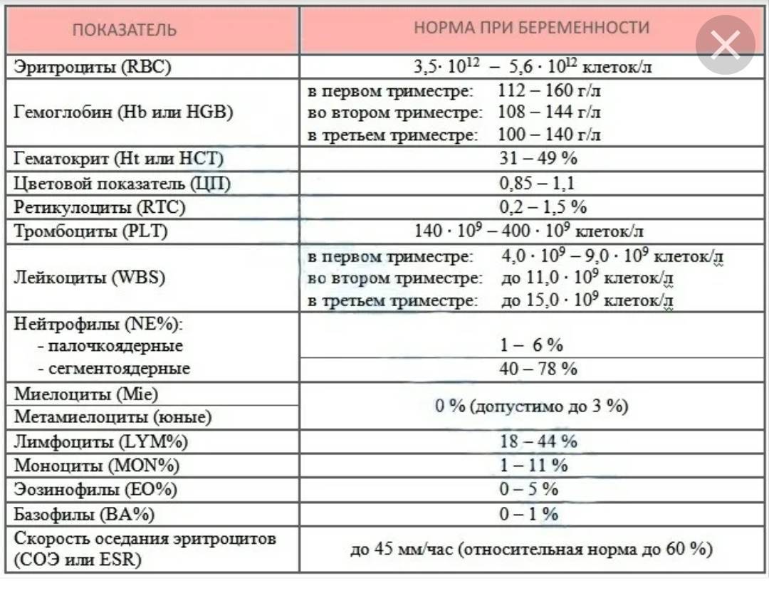 Таблица эритроцитов в моче у женщин
