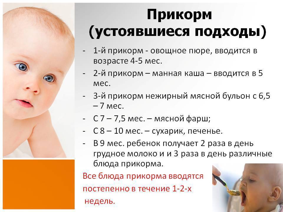 Манная каша — с какого возраста можно давать детям: сколько можно есть в день ребенку, комаровский