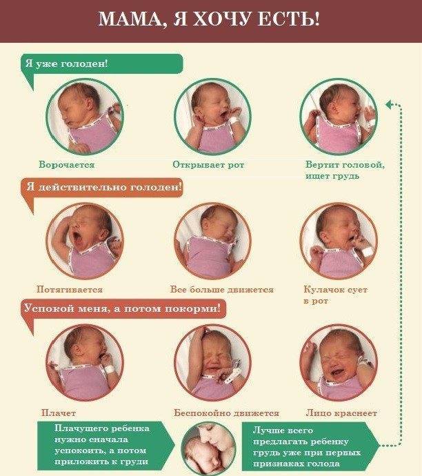 Ребенок не наедается грудным молоком