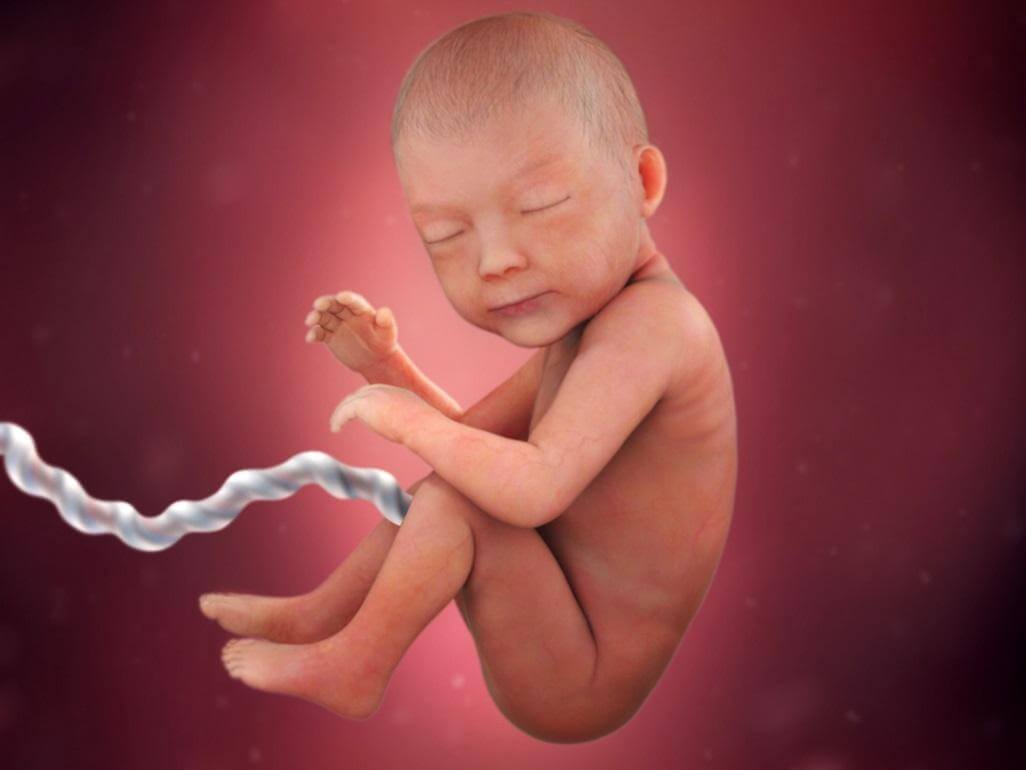 30 неделя беременности рост и развитие малыша — евромедклиник 24