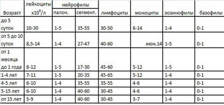 6 причин повышения уровня моноцитов в крови у ребёнка