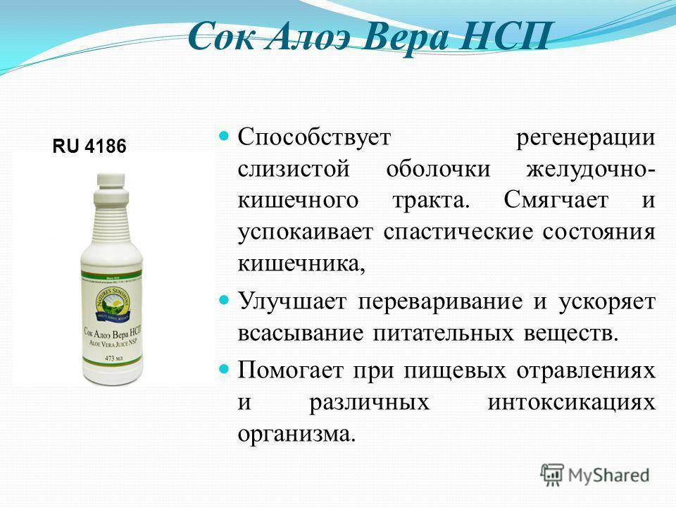 сок алоэ нсп. полезное из алоэ. алоэ лекарственное растение. алоэ гарипензис. алоэ от насморка для детей.