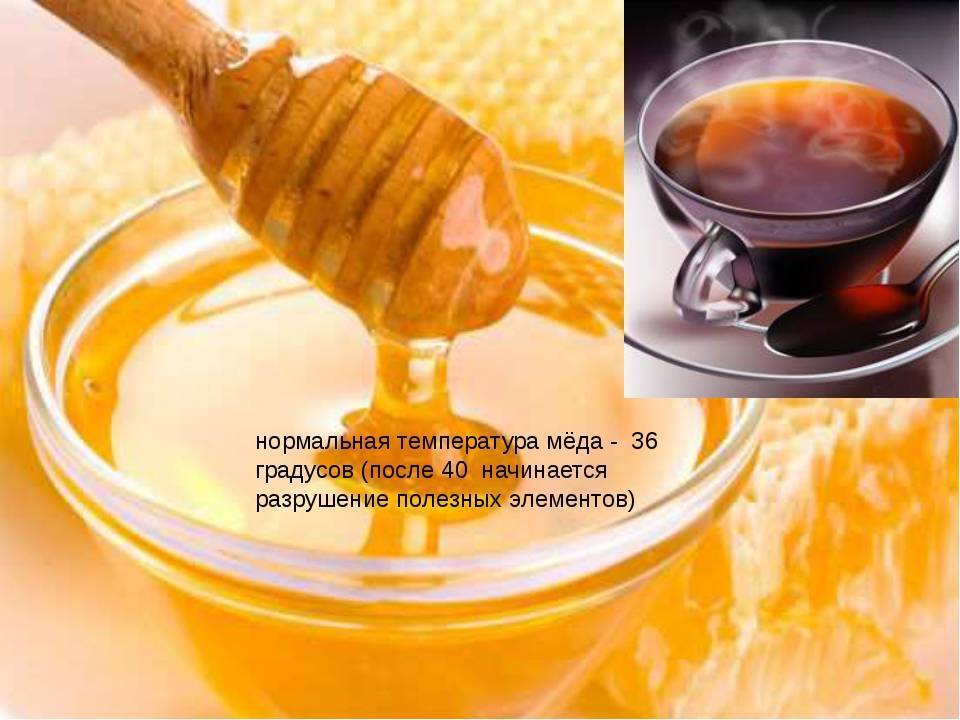 Можно ли мед ребенку при температуре