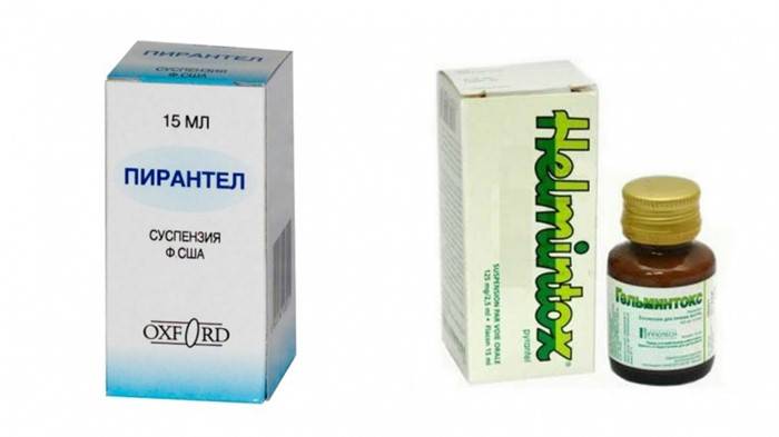 Может ли быть заражение ребенка острицами через грудное молоко