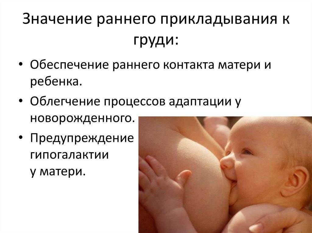 Одна грудь больше другой при гв: что делать? | s-voi.ru