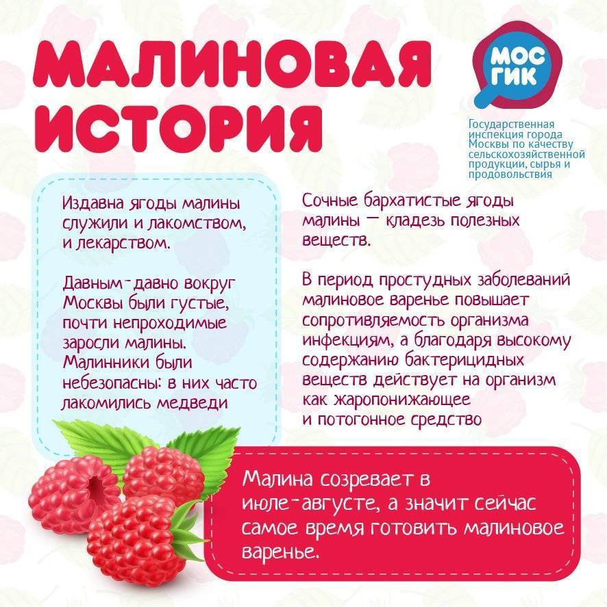 Использование малины при лечении болеющего ребенка с температурой