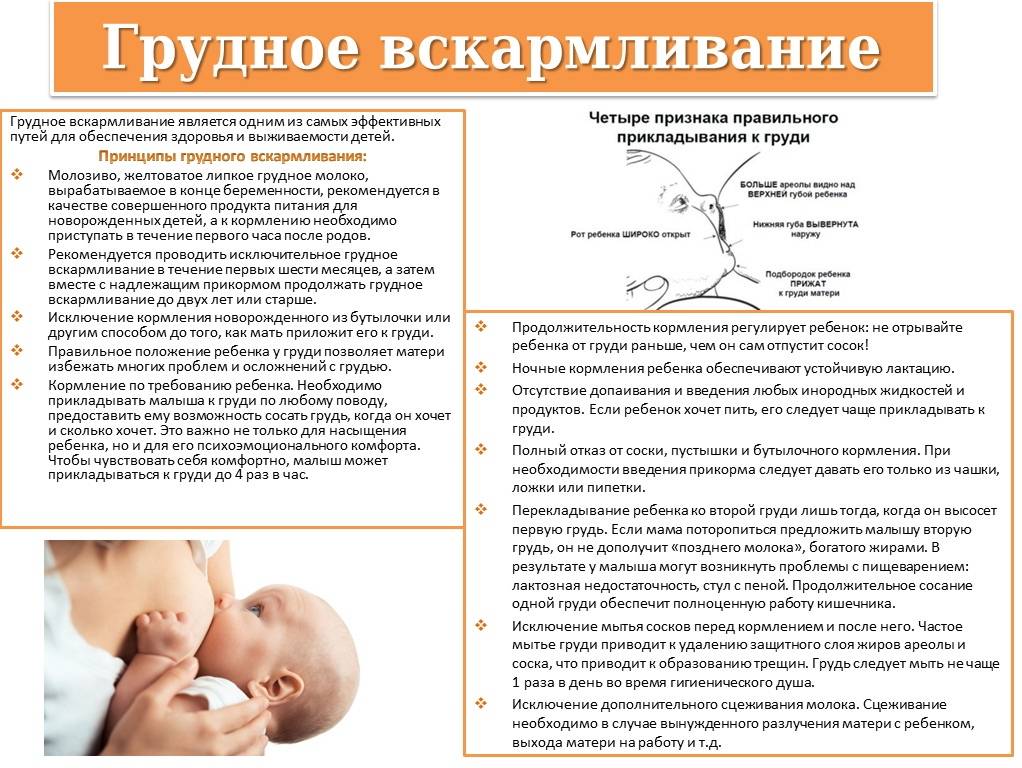 Почему нельзя отучать от грудного вскармливания летом. почему нельзя отлучать летом?