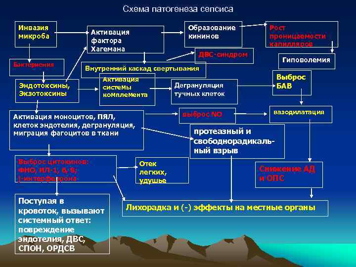 Сепсис у новорожденных