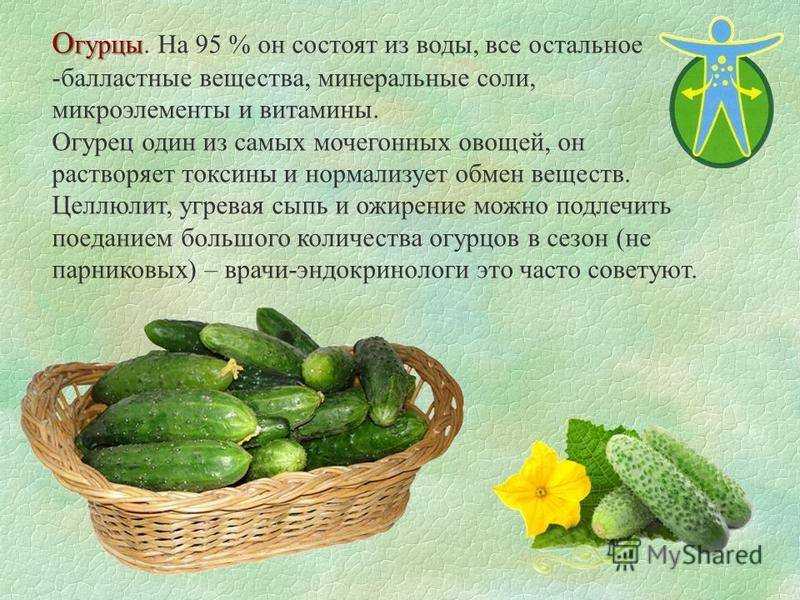 Огурцы при грудном вскармливании: можно или нельзя