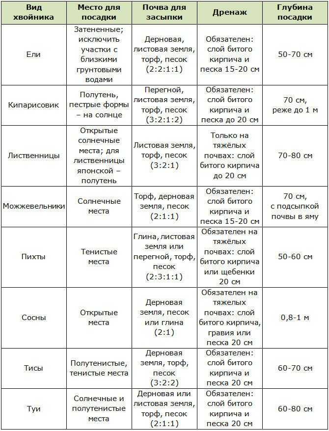 Неумение ребенка сидеть в 6-7 месяцев: причины задержки развития
