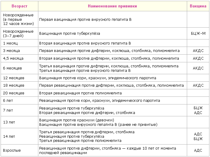 Прививки новорожденным — какие прививки необходимы, советы врачей