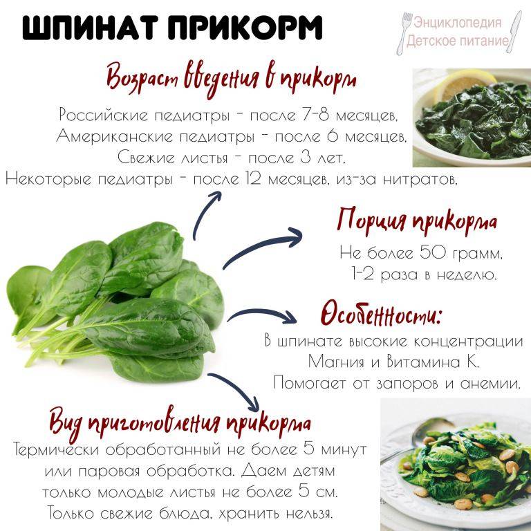 Шпинат полезные свойства и противопоказания для мужчин, женщин, детей и рецепты в кулинарии