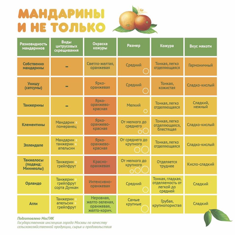 Польза и вред мандаринов для здоровья: полное собрание научных фактов