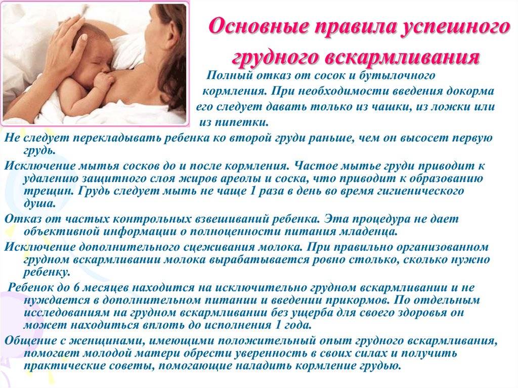 Как наладить лактацию после родов: как разработать грудное молоко, что необходимо делать, отзывы