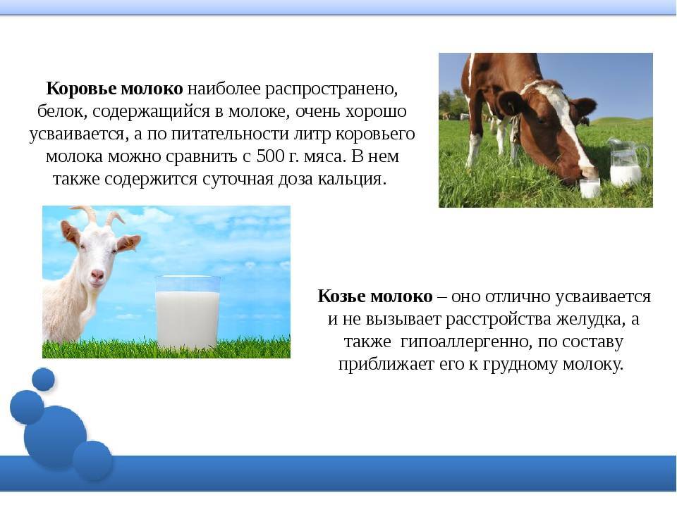 С какого возраста можно давать коровье молоко грудничку