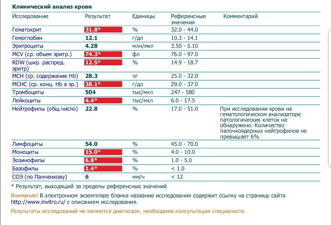 Лейкоциты: норма у детей по возрасту