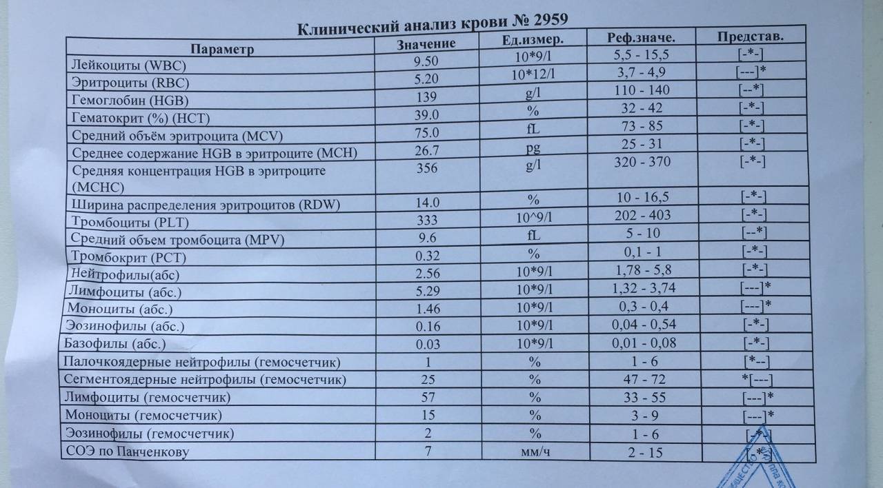 Повышены лейкоциты у новорожденного - что делать и необходимо ли лечение