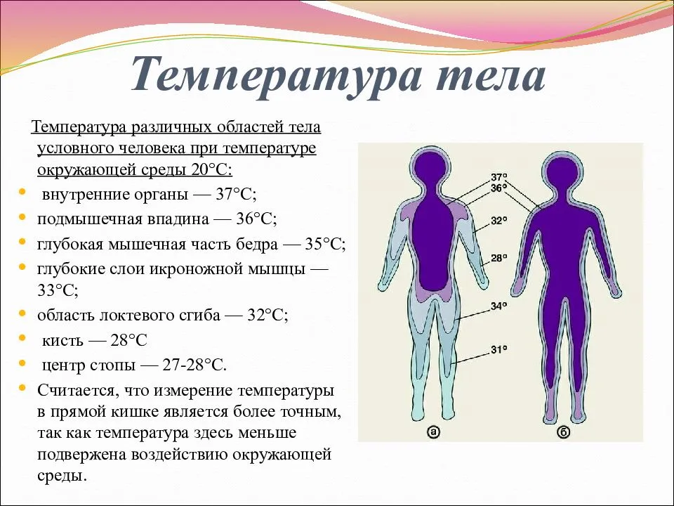 Низкая температура тела 35.5 - 35.9 у взрослых: причины и что делать