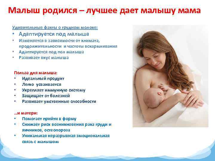 Распространенные мифы о грудном вскармливании.