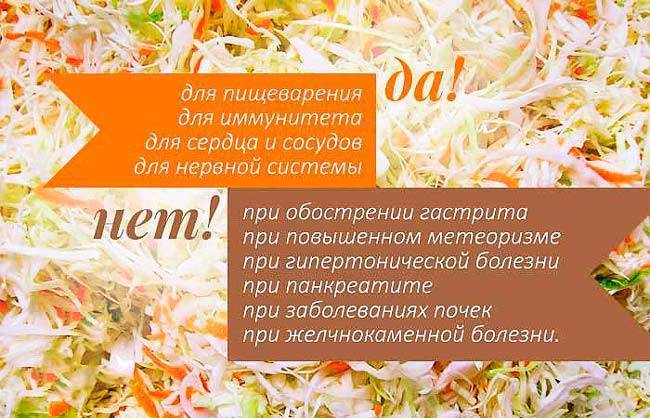 Квашеная капуста при беременности: польза и противопоказания