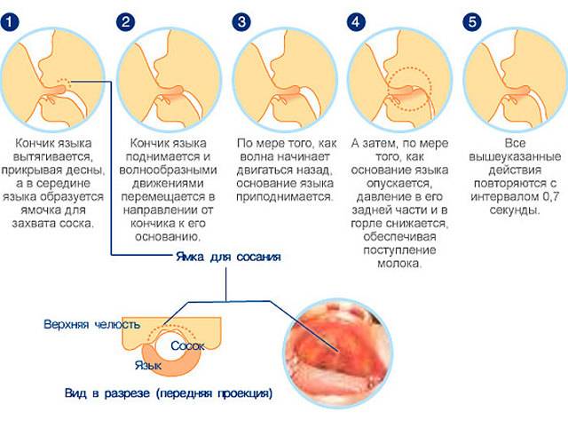Как можно подготовить грудь к кормлению малыша | еда карапуза