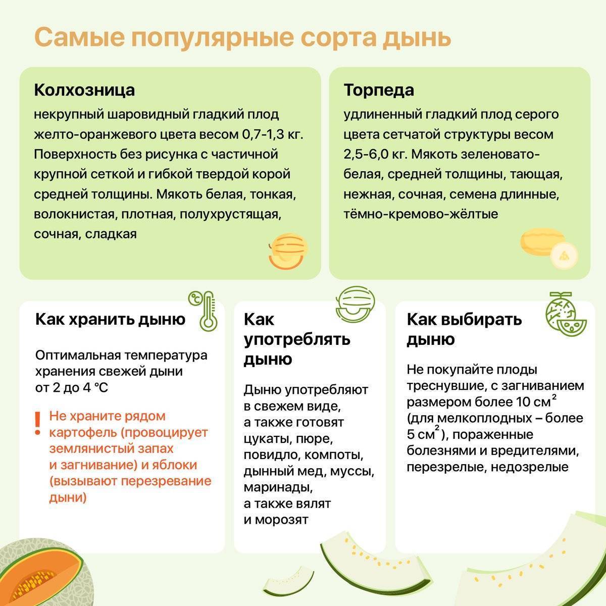 Дыня при грудном вскармливании: можно ли, отзывы, комаровский, в первый, второй месяц, 5 месяцев, противопоказания