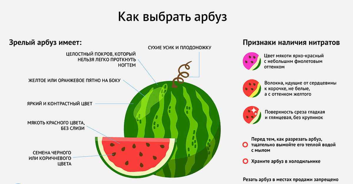 Арбуз при кормлении грудного ребенка: можно ли при гв и со скольки месяцев