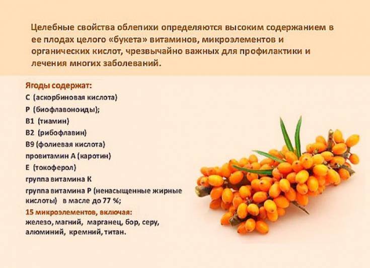 Облепиха детям: с какого возраста можно давать