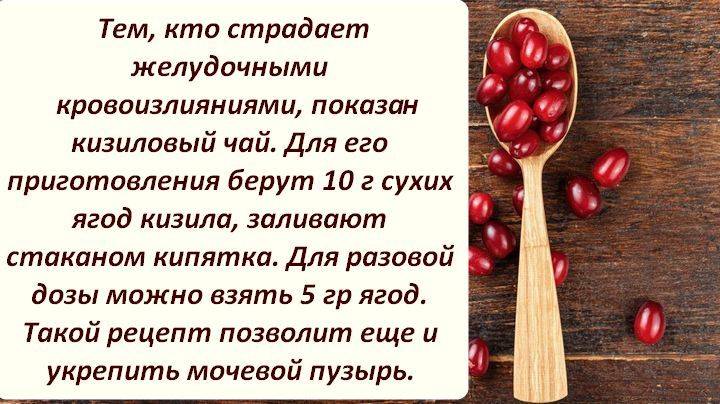 Кизил - польза и вред для организма, как принимать