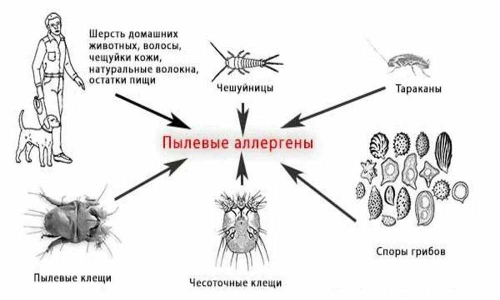 Как отличить аллергию от цветения у новорожденных – отличие симптомов