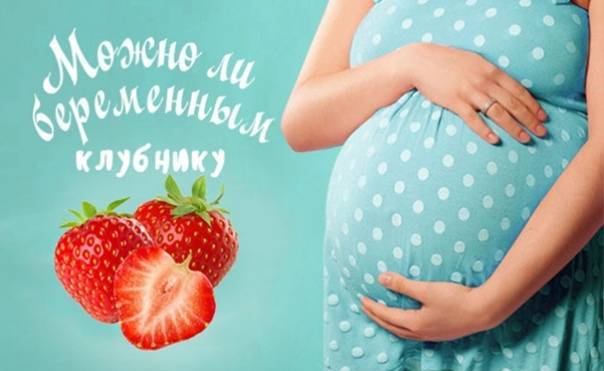 Клубника во время беременности | уроки для мам