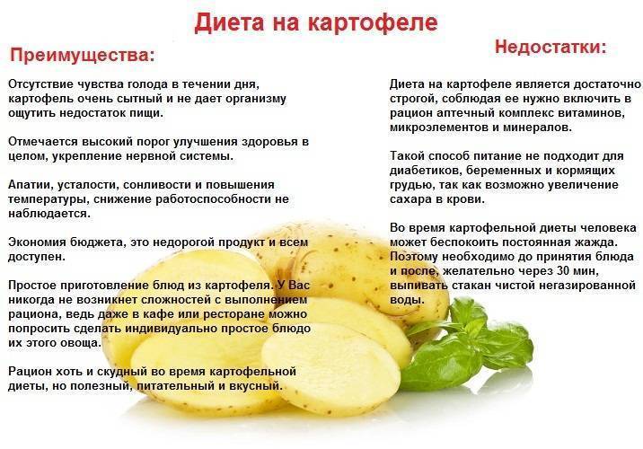 Польза картофеля для кормящей мамы