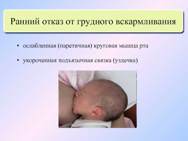 Ребенок отказывается от грудного вскармливания: почему и что делать
