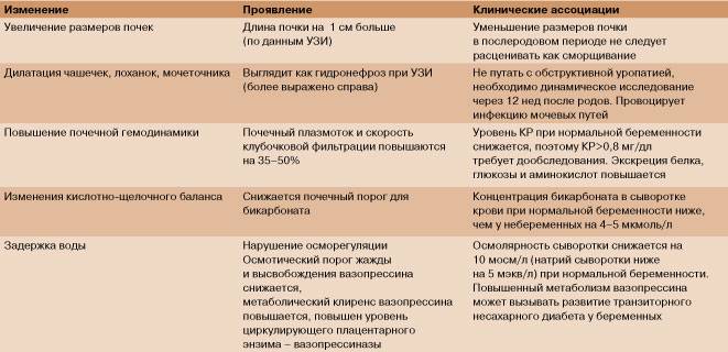 Грудь при беременности: как выглядит, изменения | fok-zdorovie.ru